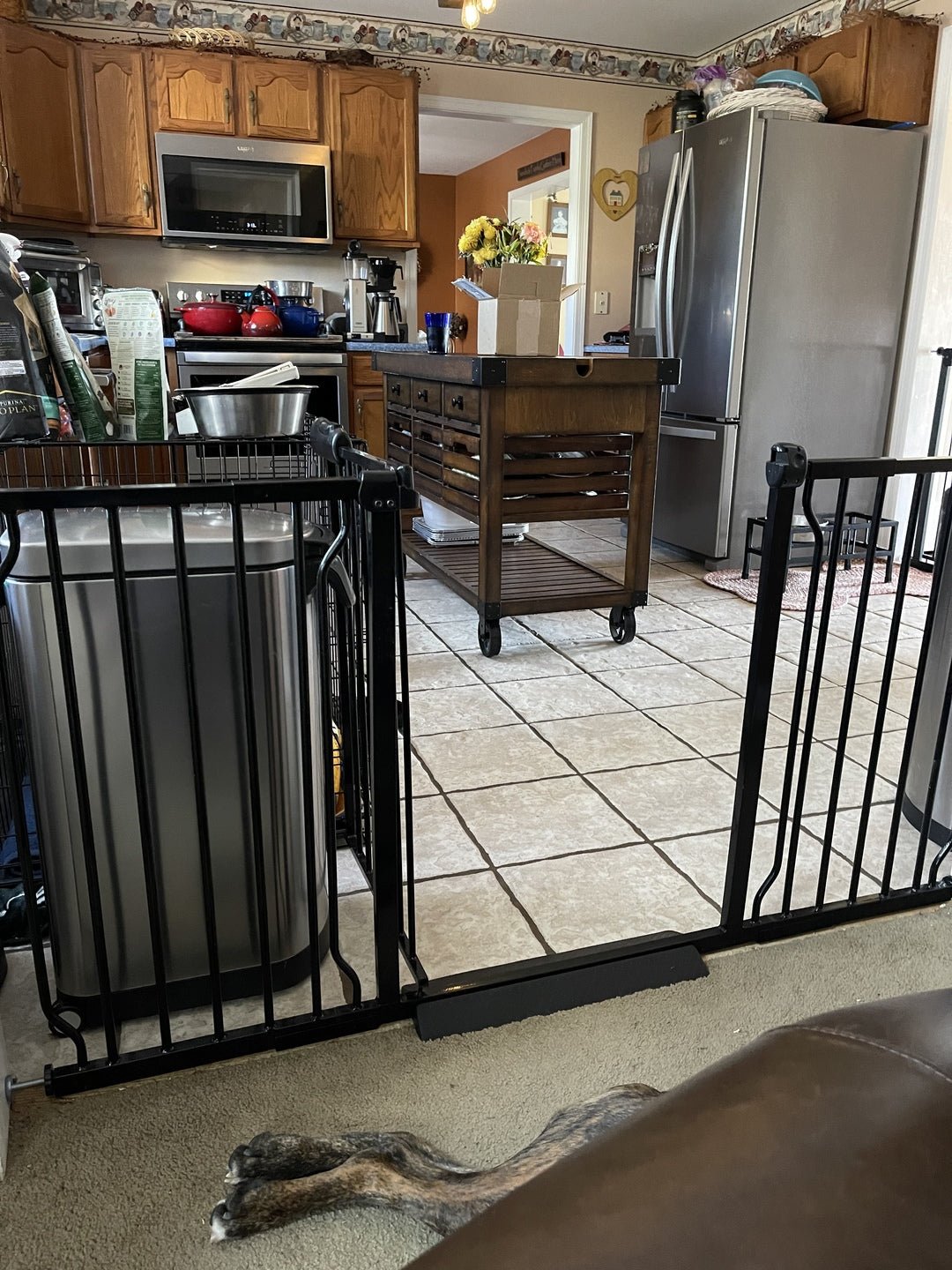 Dog proof hotsell baby gate