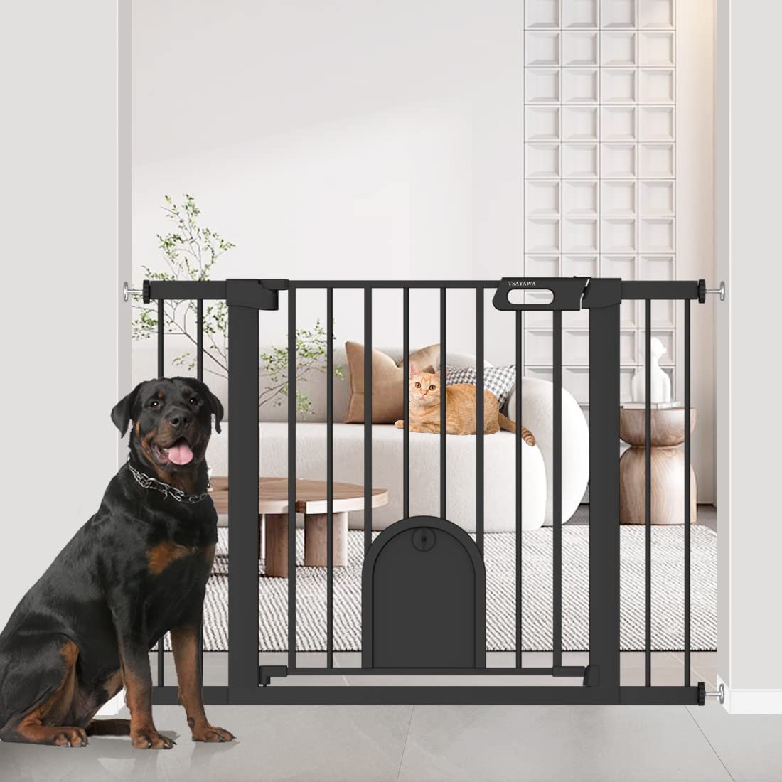 Dog 2025 gate installation