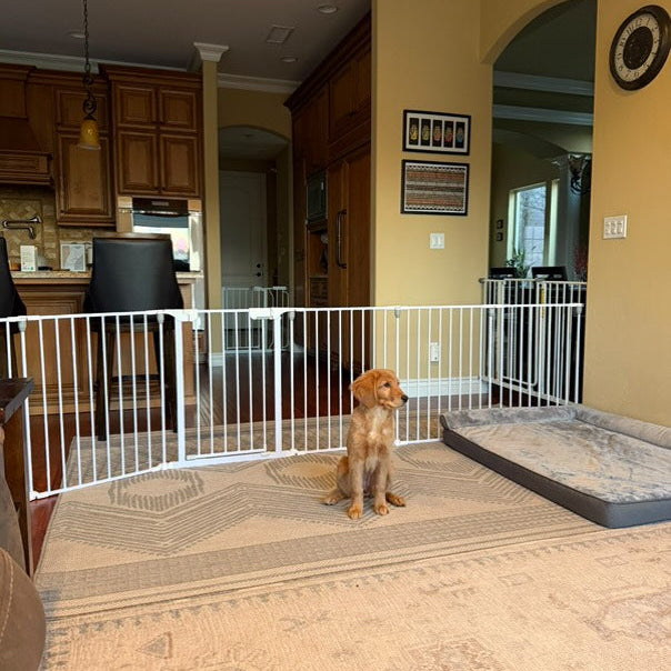 FairyBaby 3/6/8-Panel Wall-Mount Freestanding Dog Gate, Baby Gate Playpen & Fence