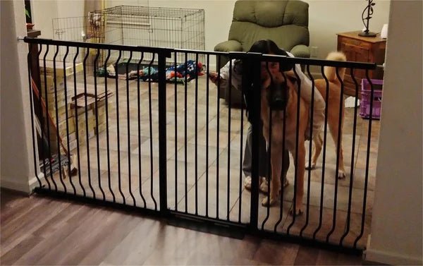 3 Best Heavy Duty Dog Gates for Big Dogs - FairyBaby