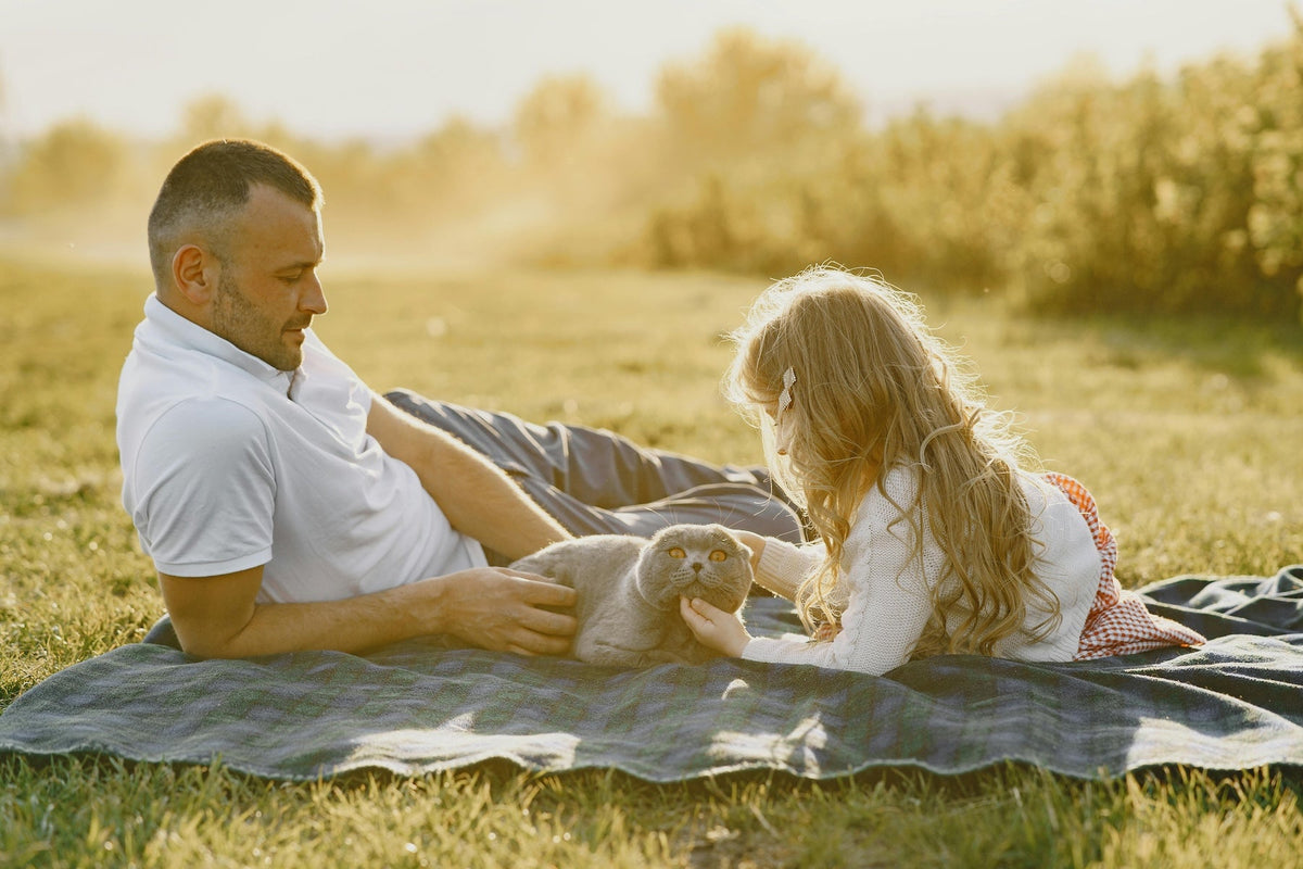 6 Things You Should Know About Being a Cat Dad - FairyBaby