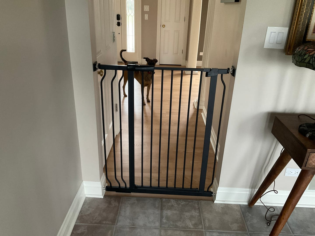 8 Reasons Why You Need a Dog Gate on Your Stairs - FairyBaby