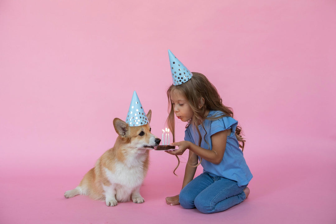 9 Best Gifts for Your Dog's Birthday - FairyBaby