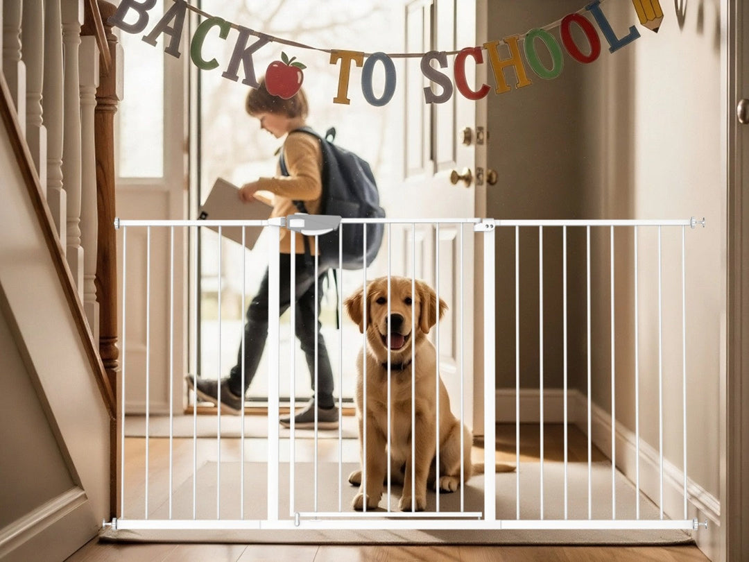 how pet gates can help keep dogs and cats safe and calm during the back-to-school season.