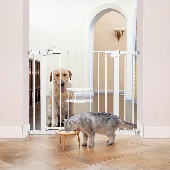 A Pet Gate with a Cat Door for Pawsome Home Harmony - FairyBaby