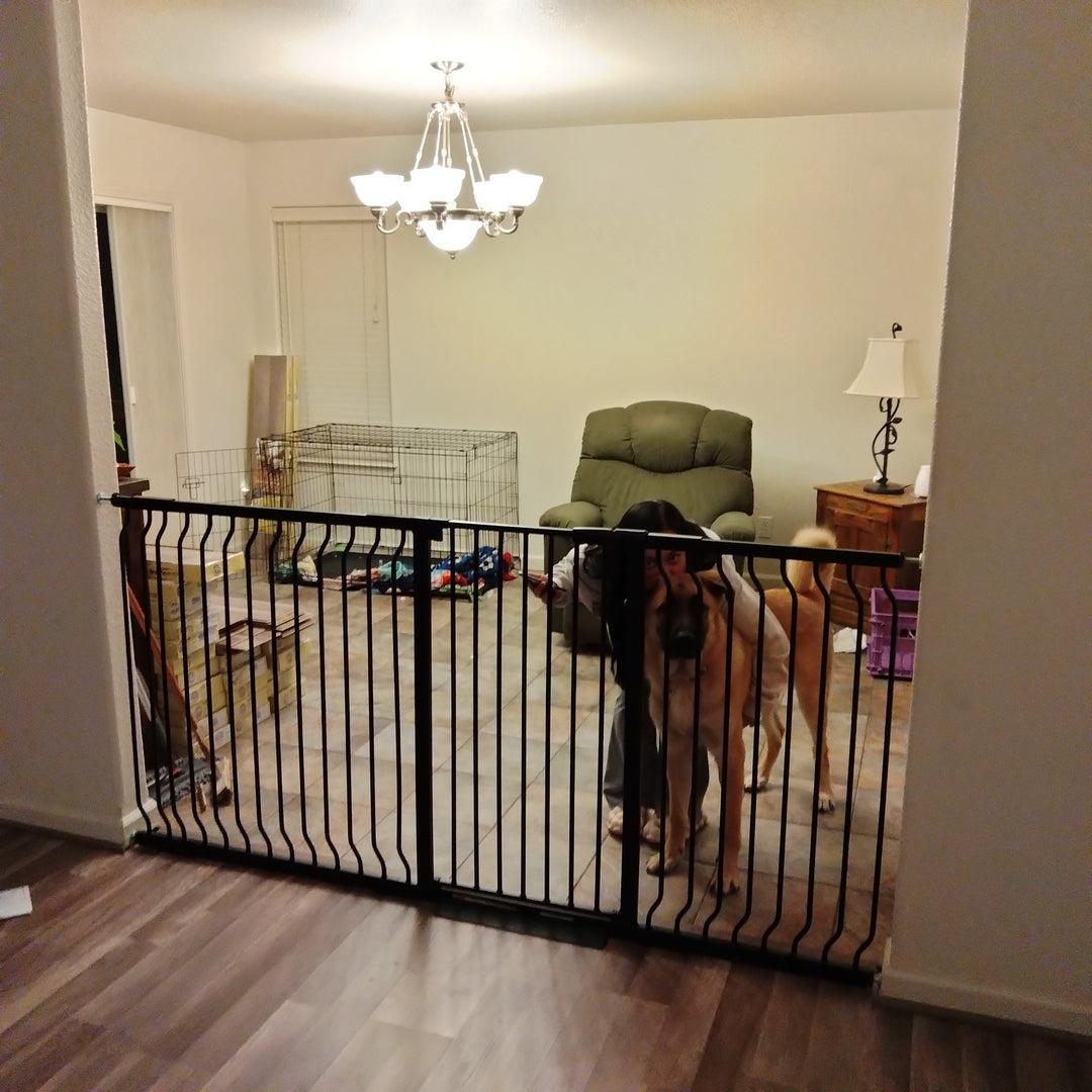 extra wide extra tall dog gate
