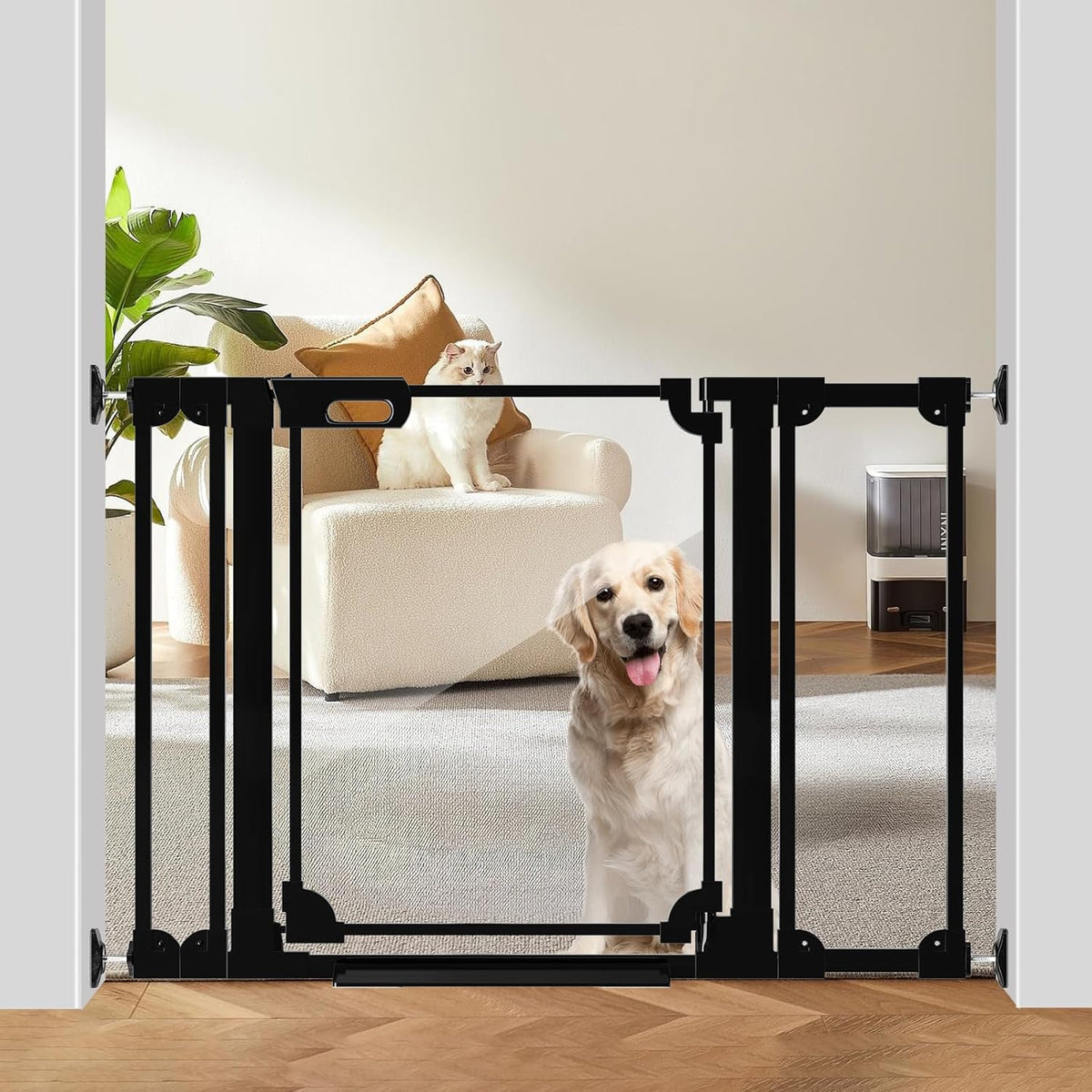 A clear crystal acrylic dog gate with a black metal frame installed in a home setting, featuring a dog looking forward with a couch and wooden flooring in the background.