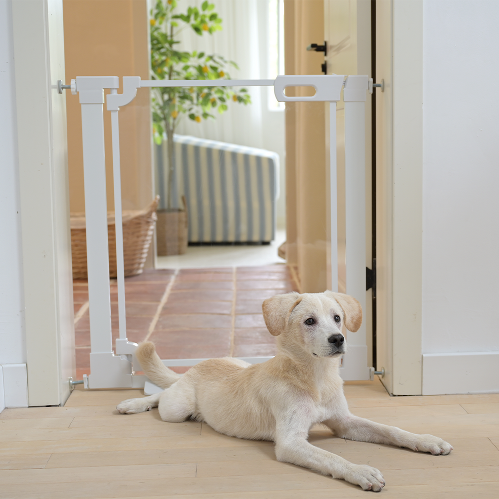 Pressure mounted dog gate fashion