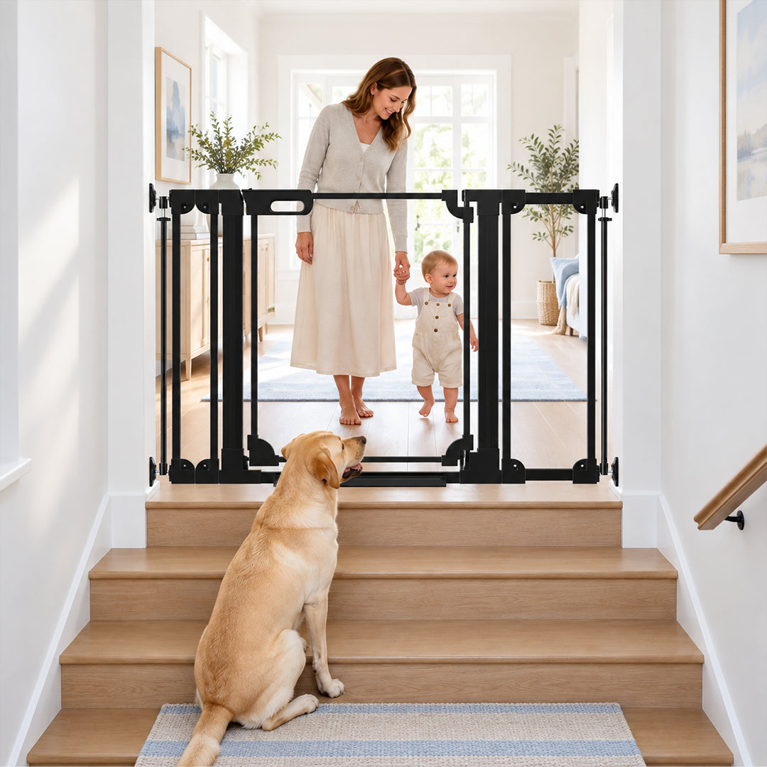 A modern black-frame clear acrylic baby gate installed at the top of wooden stairs, with a mother holding a toddler behind the gate and a golden retriever dog sitting in front.