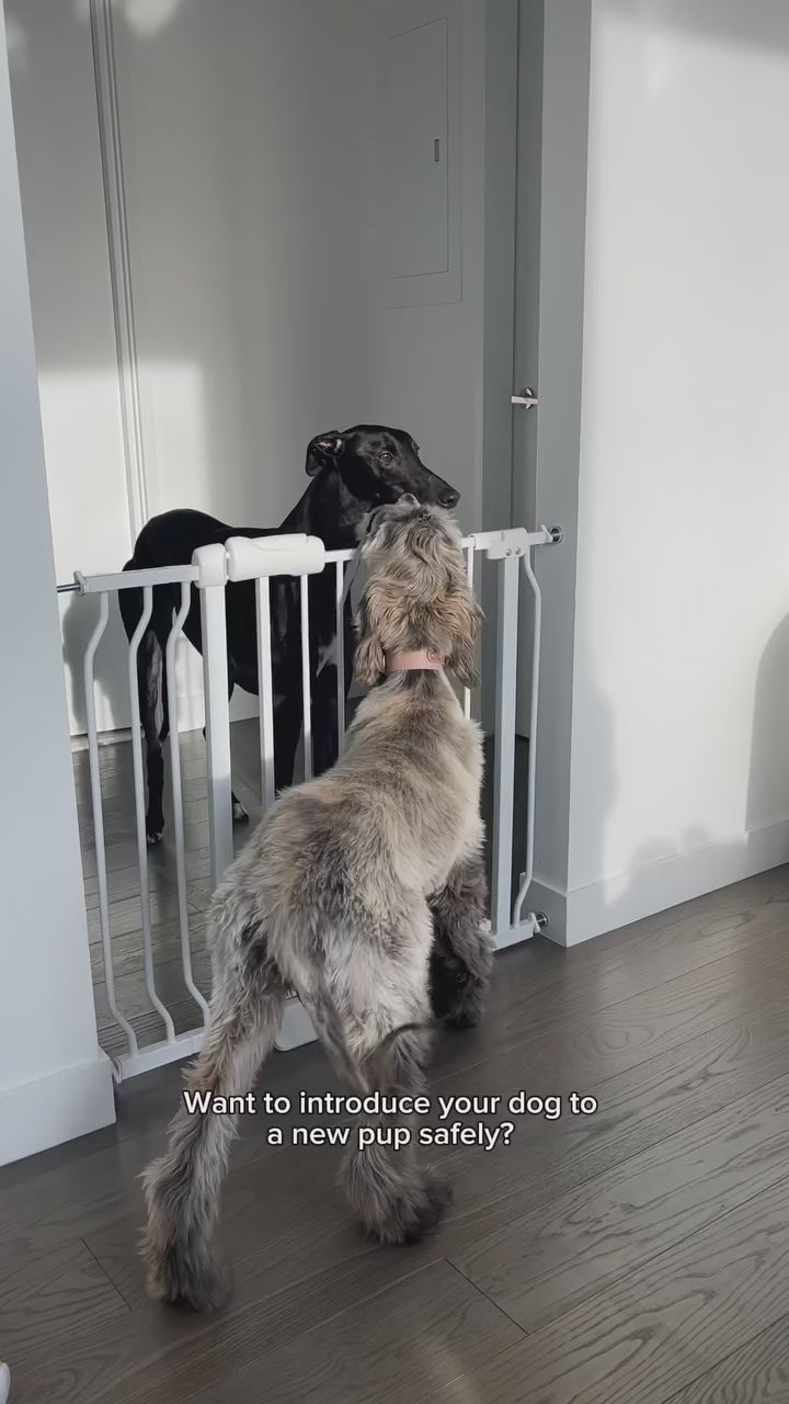 Extra Wide Baby Gate for Openings Up to 109.5''