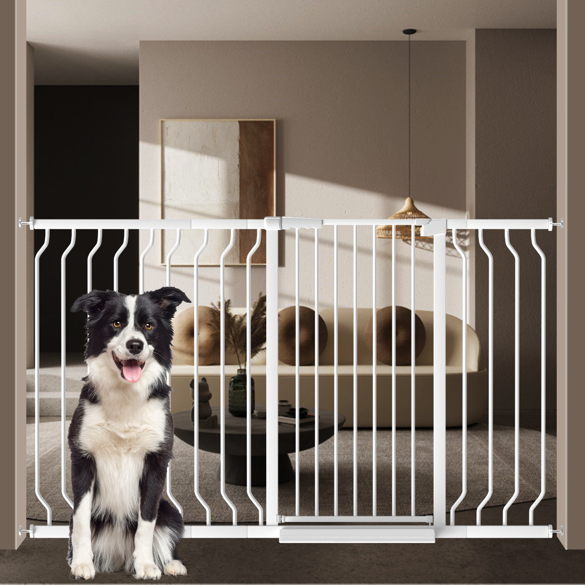 Pet Gates