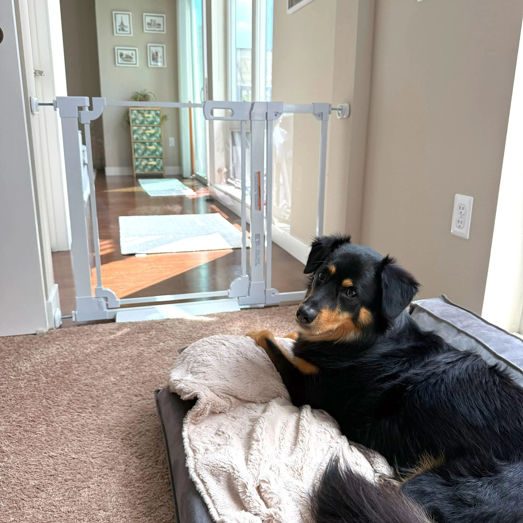30" Clear Acrylic Baby & Pet Gate