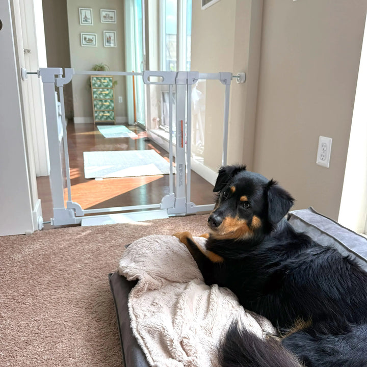 30" Clear Acrylic Baby & Pet Gate